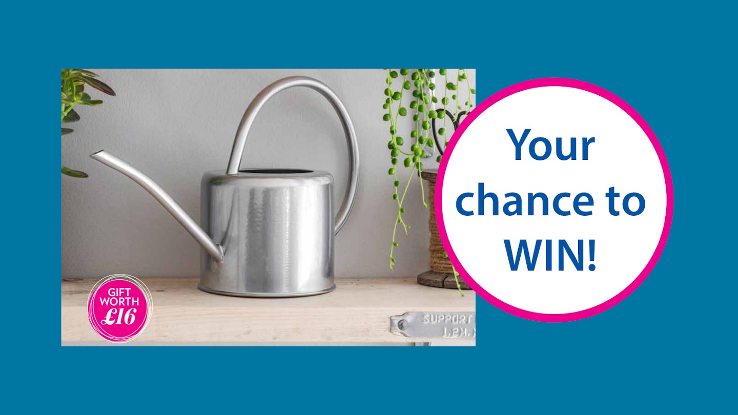 WIN an indoor watering can