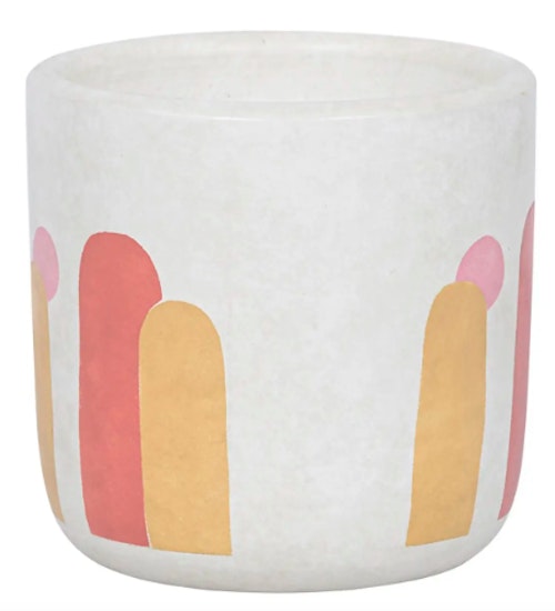 How to repot plants guide Everything you need in your tool kit