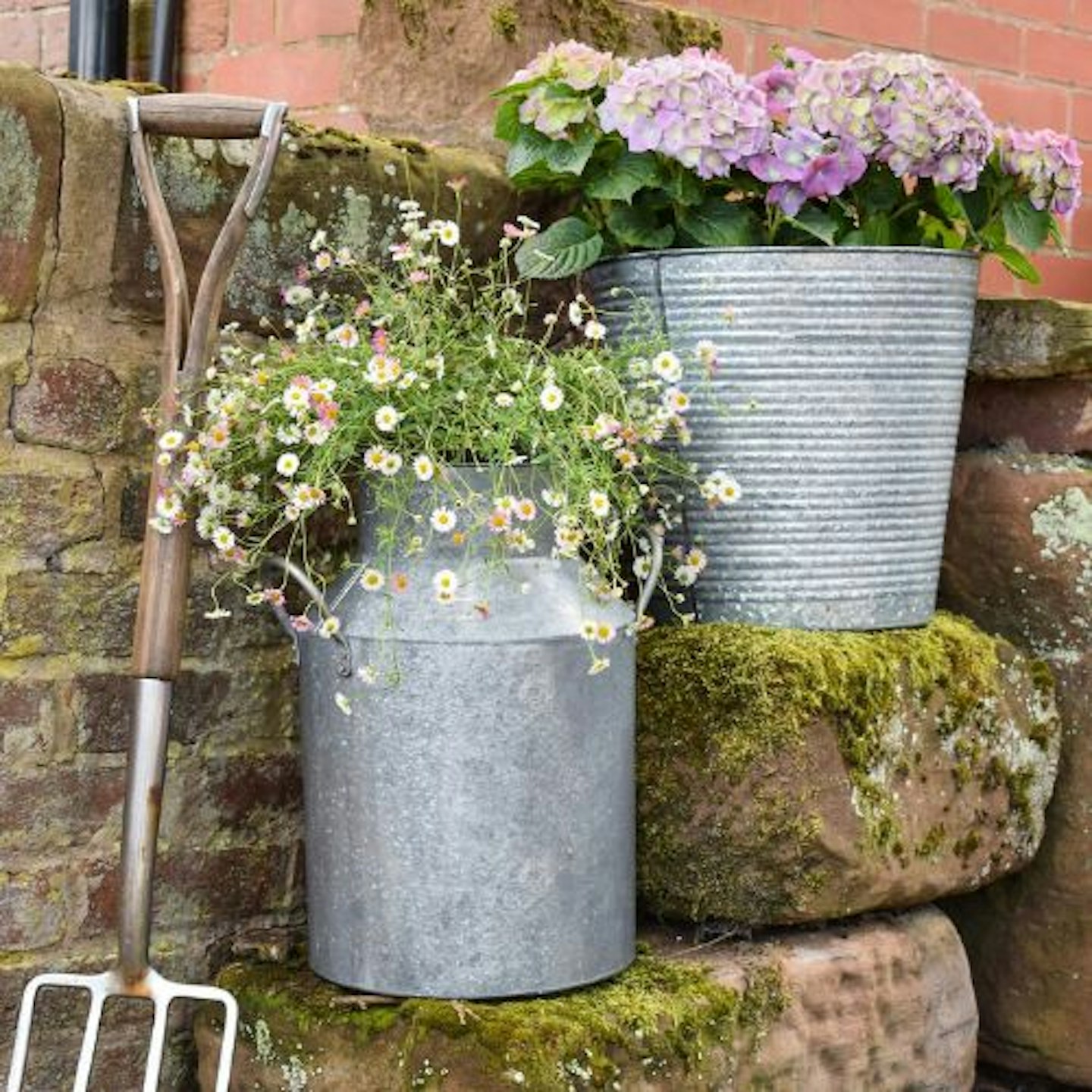 Galvanised Iron Milk Churn, 43cm