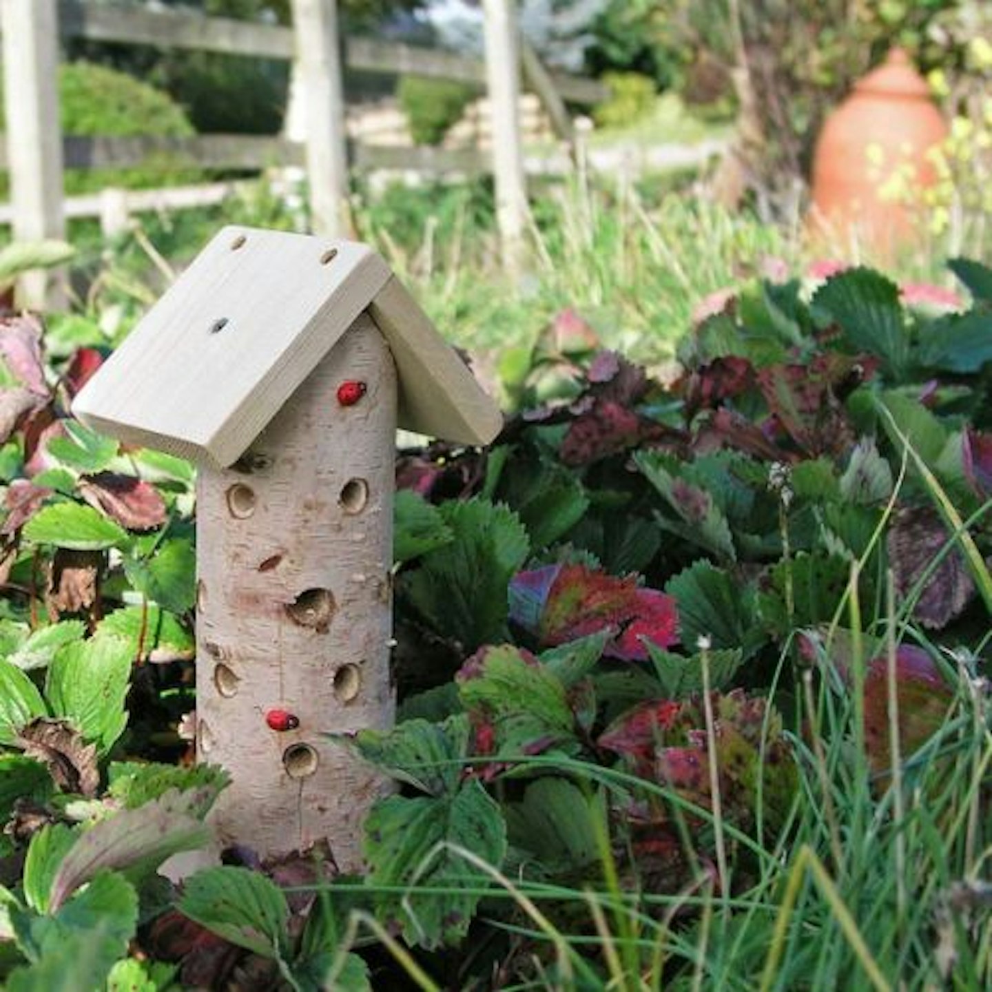 Ladybird and Insect Tower