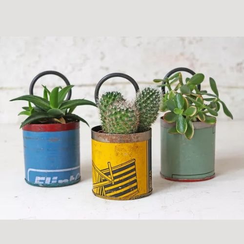 Best gifts for indoor plant lovers Modern Gardens