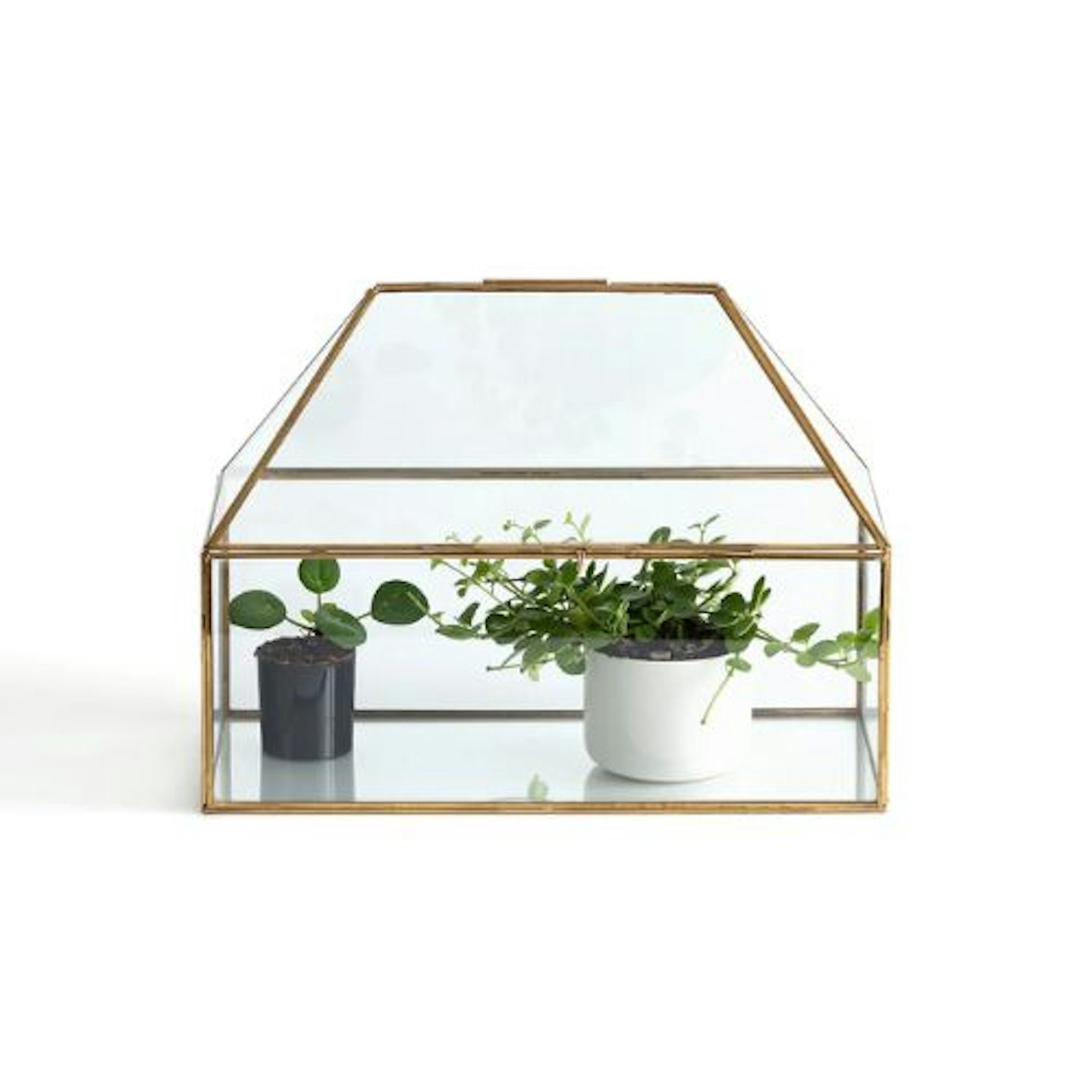 Uyova Mini Greenhouse in Glass & Brass