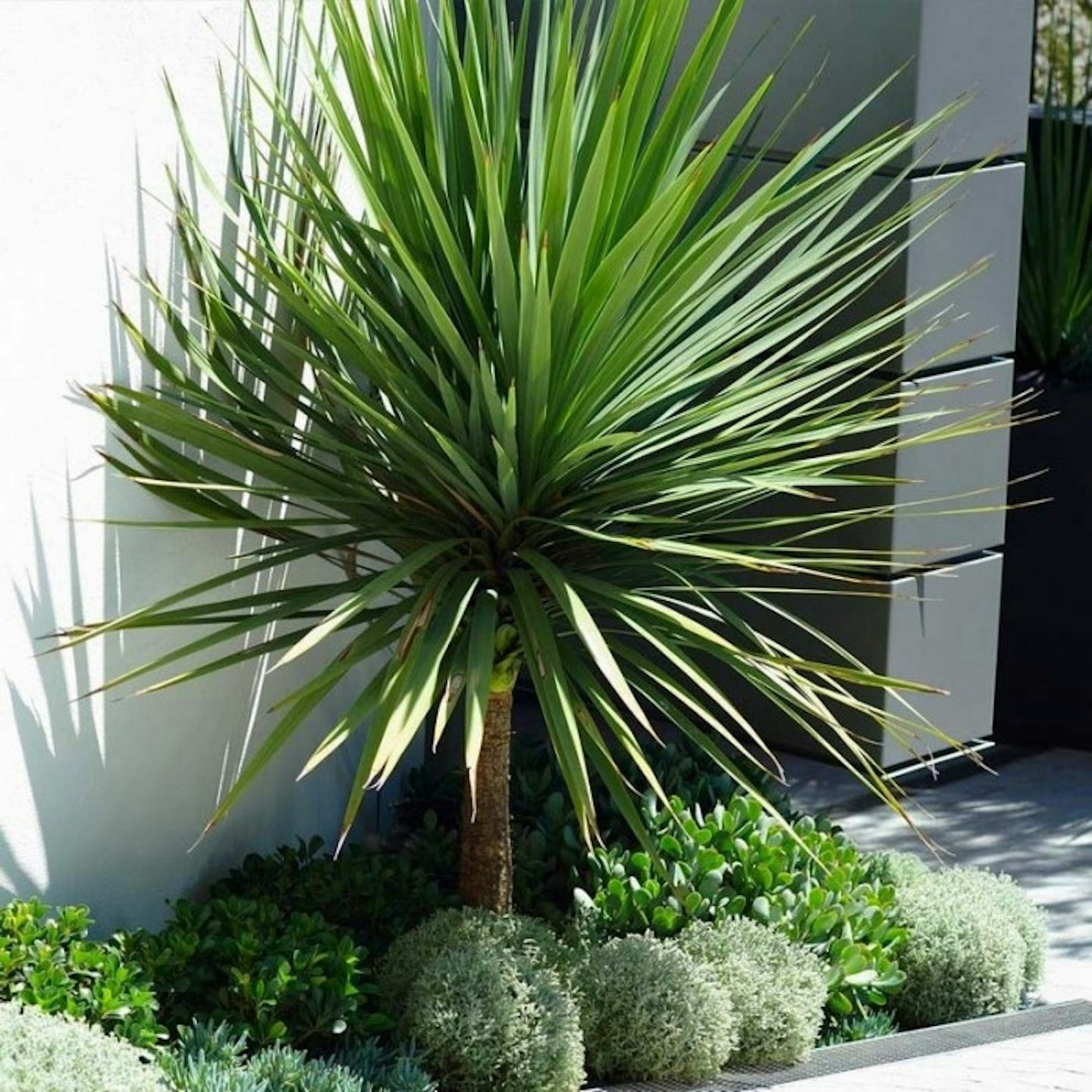 outdoor-garden-gifts
