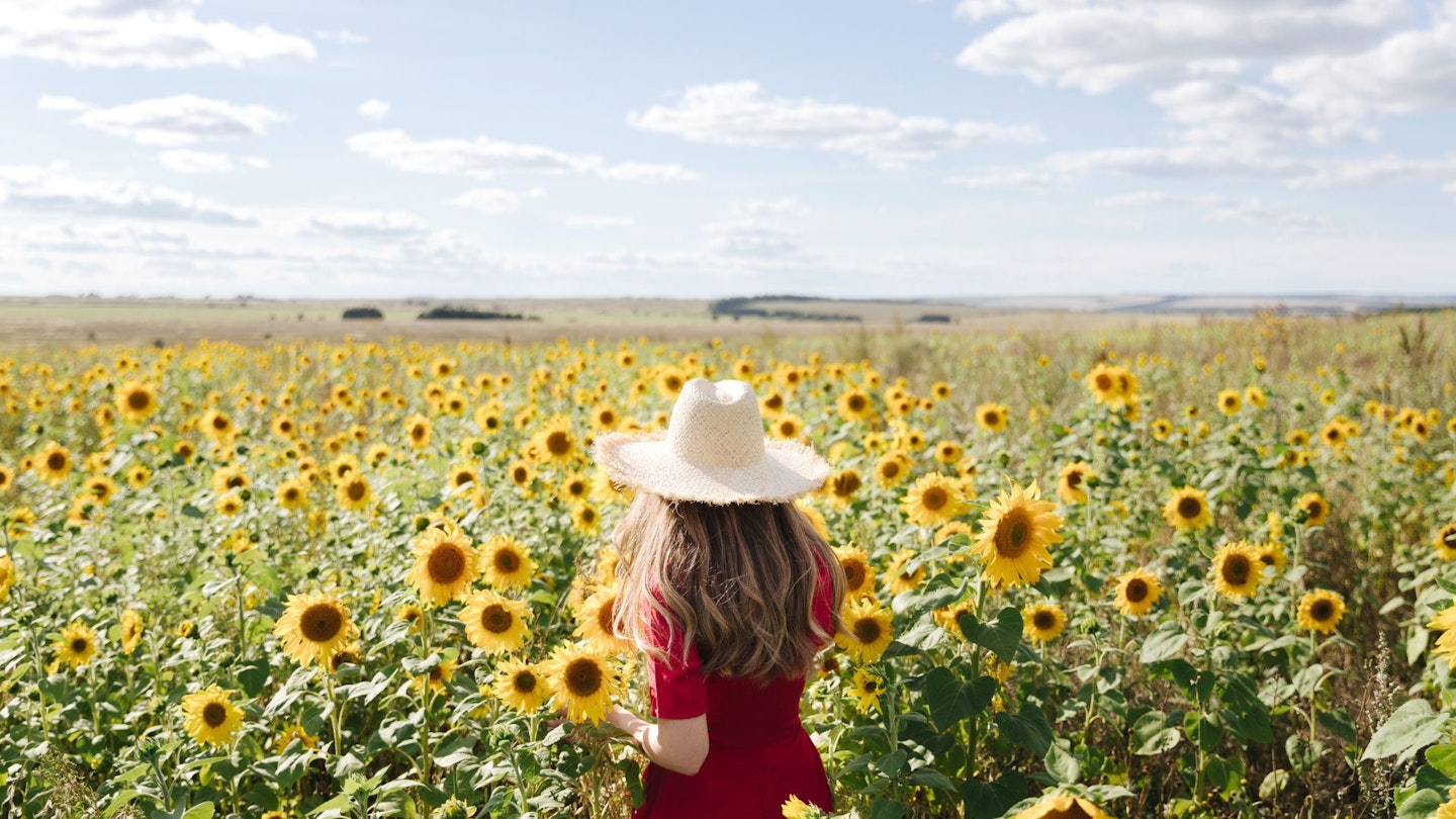 Beautiful young woman in red dress and a straw hat is standing against a yellow field of sunflowers. Summertime, concept of countryside landscapes, vacation, holidays, country living, agriculture