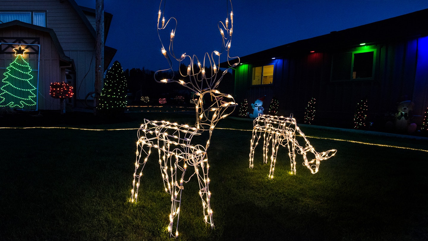 energy-efficient Christmas lights