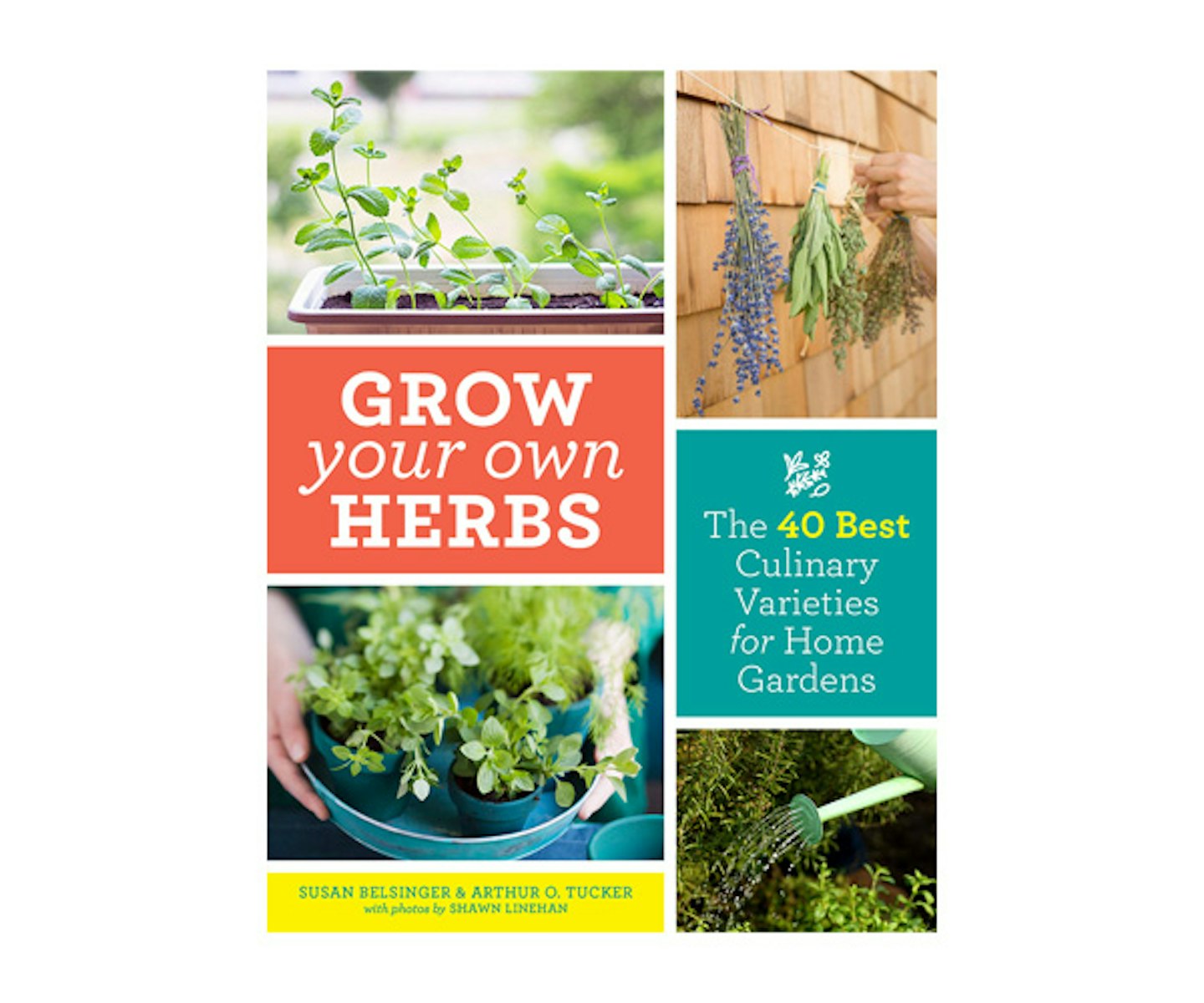 Grow Your Own Herbs