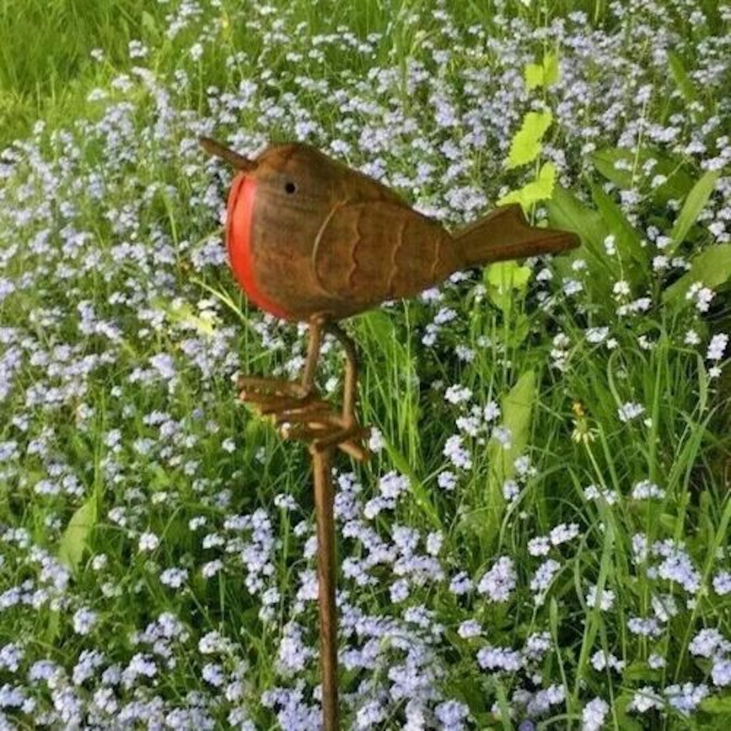 Robins Appear When Loved Ones Are Near