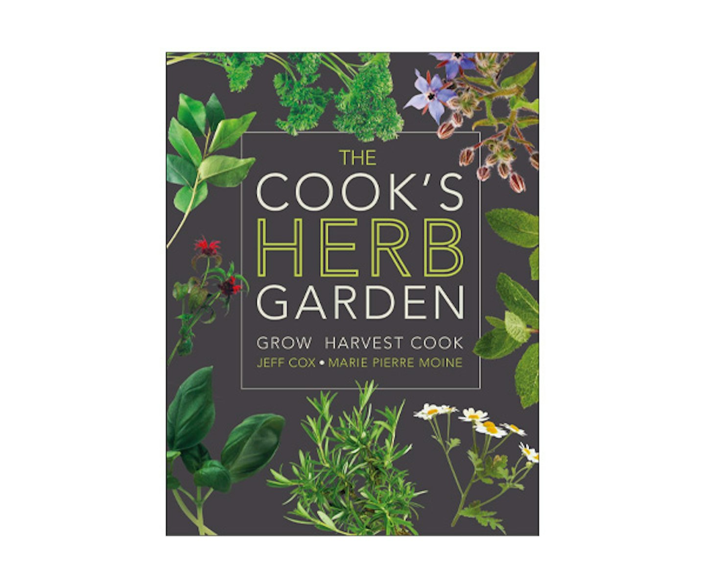 The Cook's Herb Garden