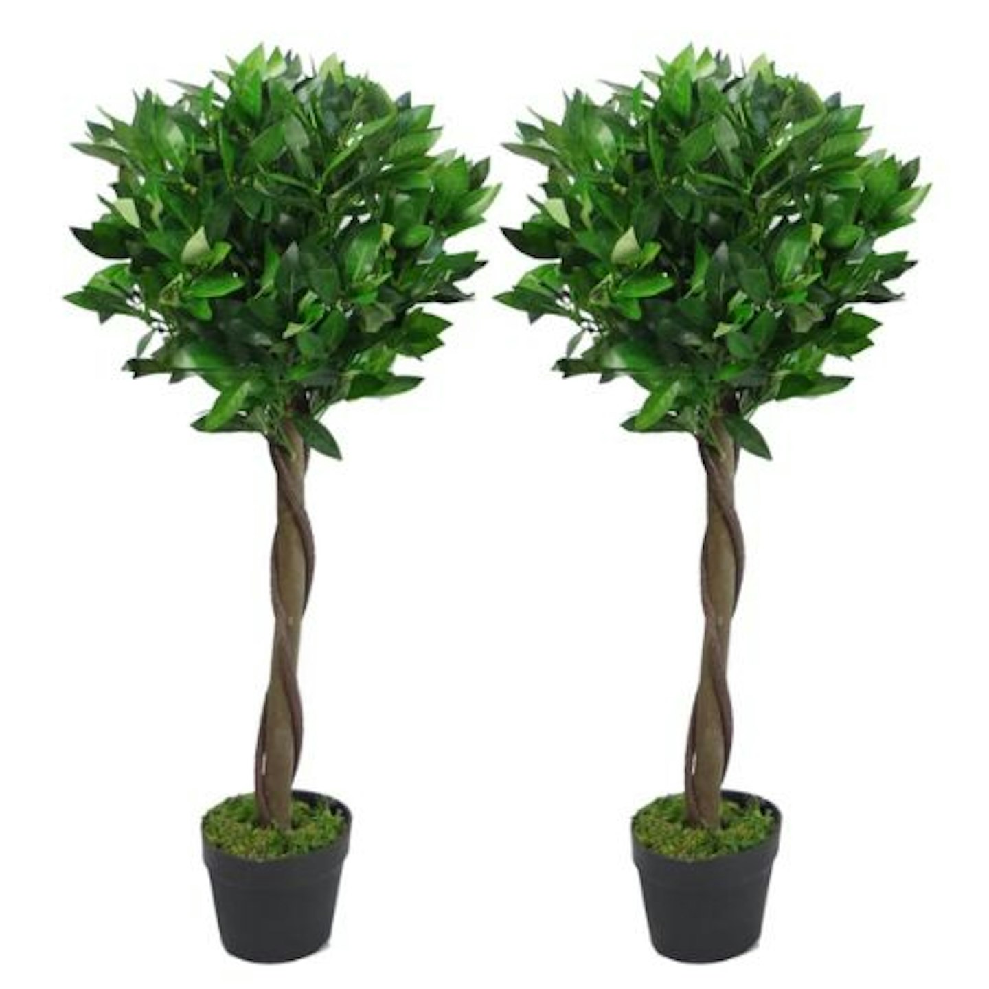 Faux Bay Tree in Pot Liner (Set of 2)