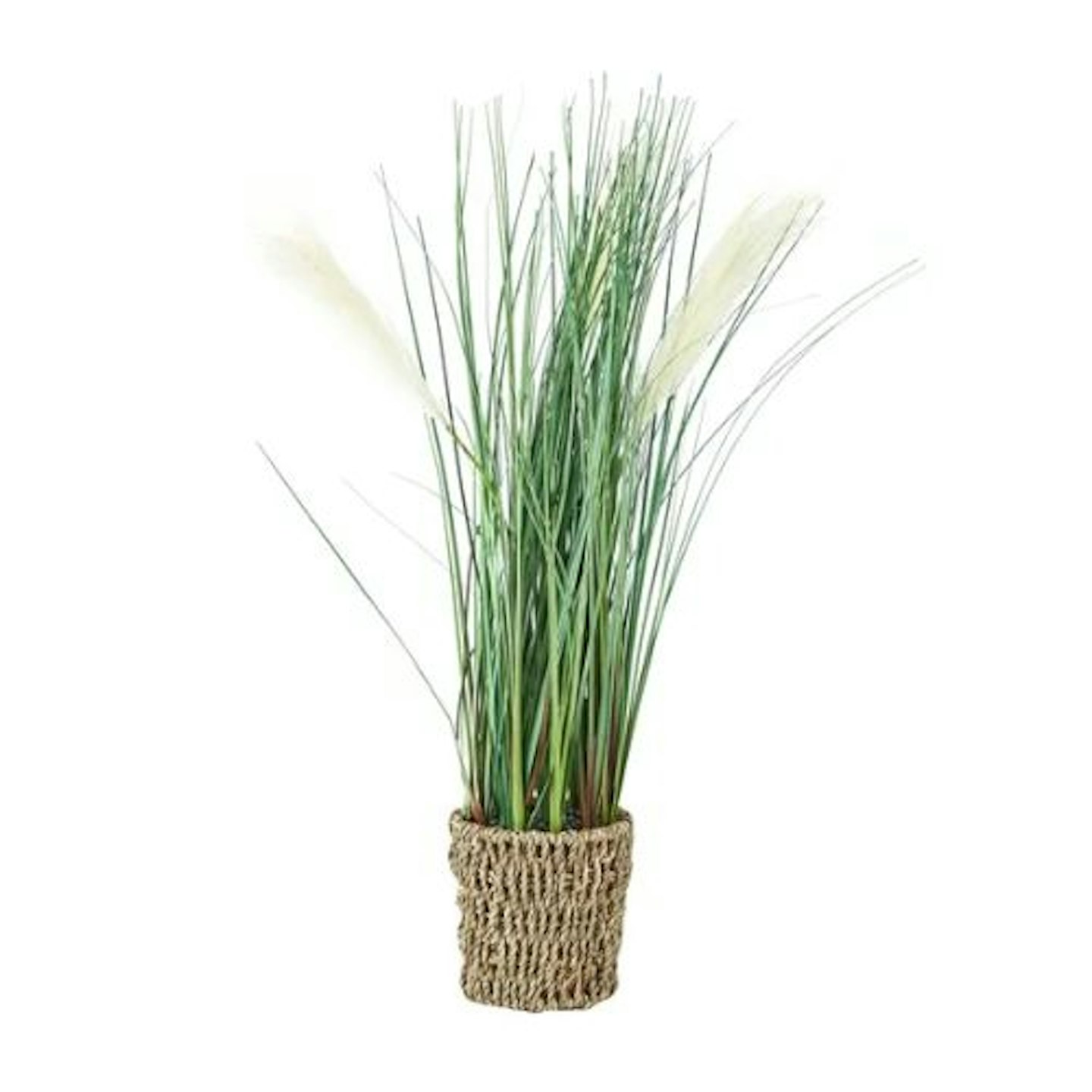 Artificial Pampas Grass in Woven Pot 60cm