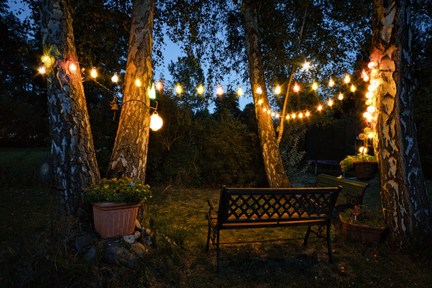 string of lights in the garden with garden bench and sheltered corner hidden by hedges in the evening.