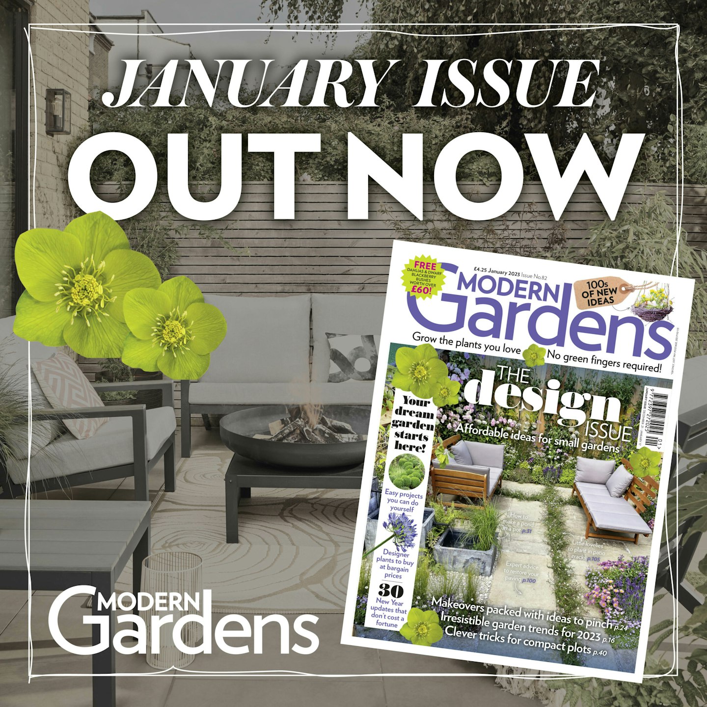 Modern Gardens - January issue