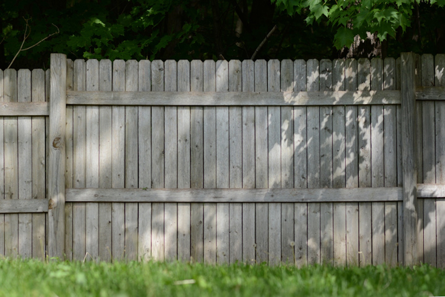 Wooden privacy fence