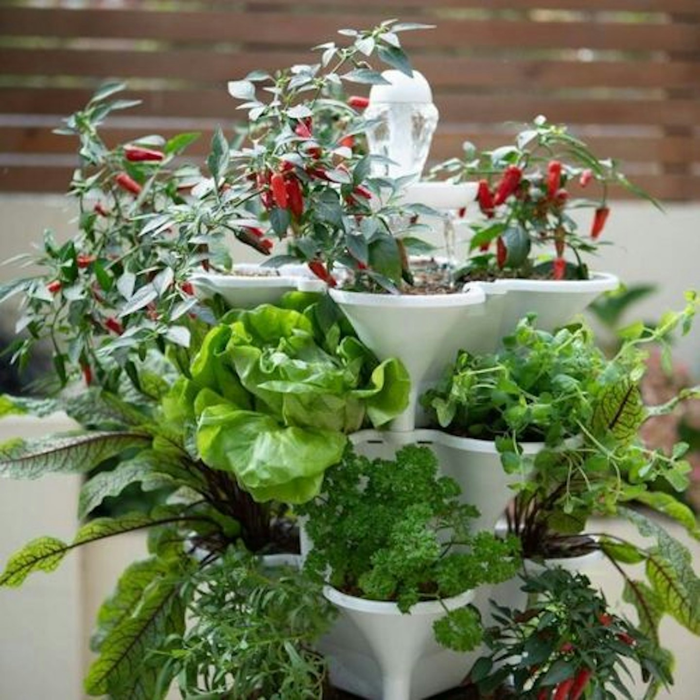 best-hydroponics-system-acqua-garden-vertical