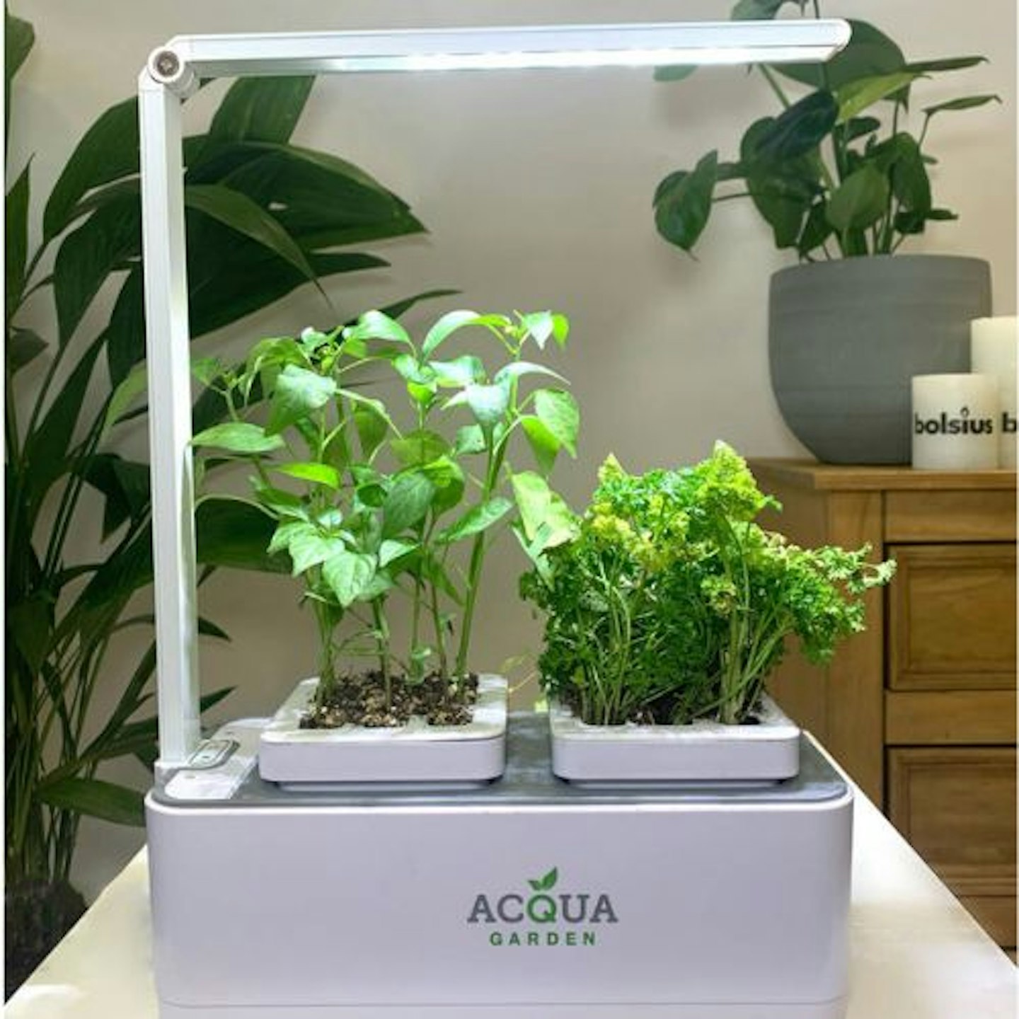 best-hydroponics-system-acqua-garden