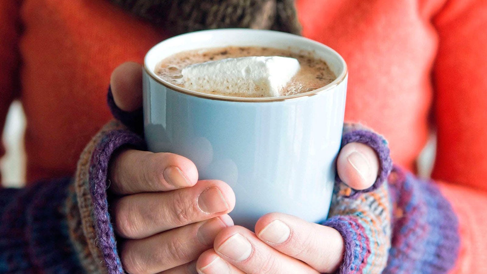 Spiced Mexican mocha Modern Gardens