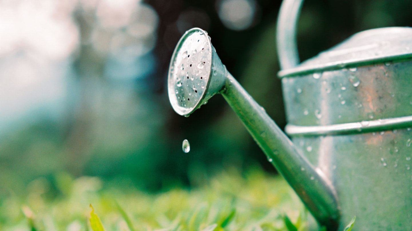 Single water droplet falling from watering can on the grass
