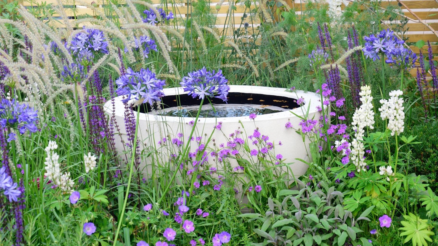 A water bowl feature amongst flowers in a garden.