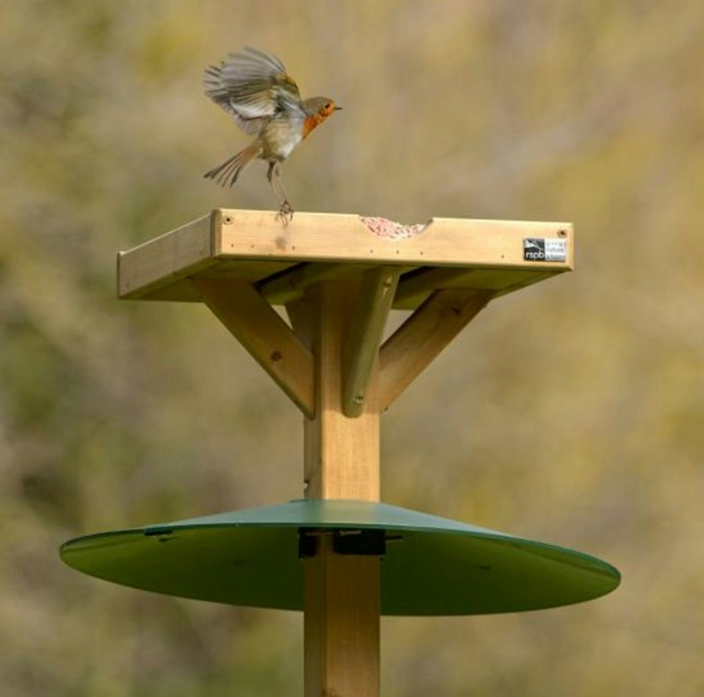 Bird table squirrel baffle