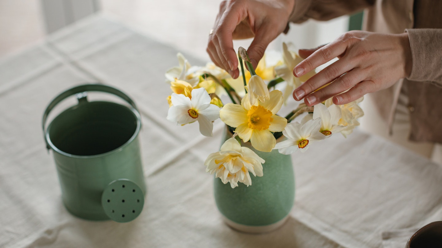 Daffodils at home