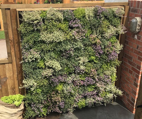 Vertical gardening ideas to transform compact spaces | Modern Gardens