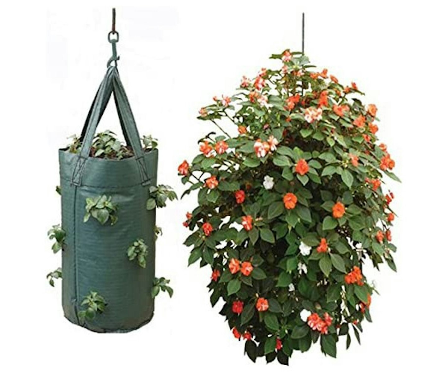 Nutley's Hanging Tomato Planter Growbags