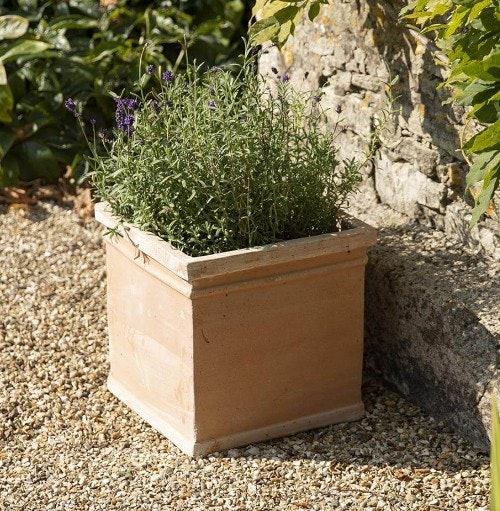 Best large outdoor plant pots to give your plants space to thrive
