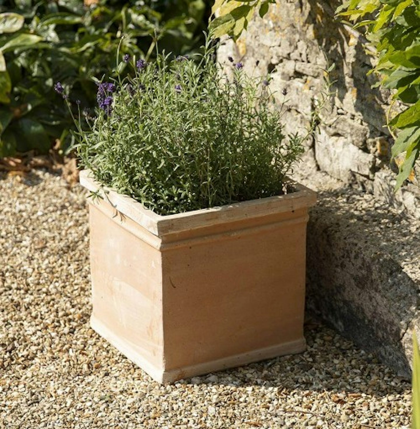ORSON SQUARE TERRACOTTA PLANT POT - 4 SIZES