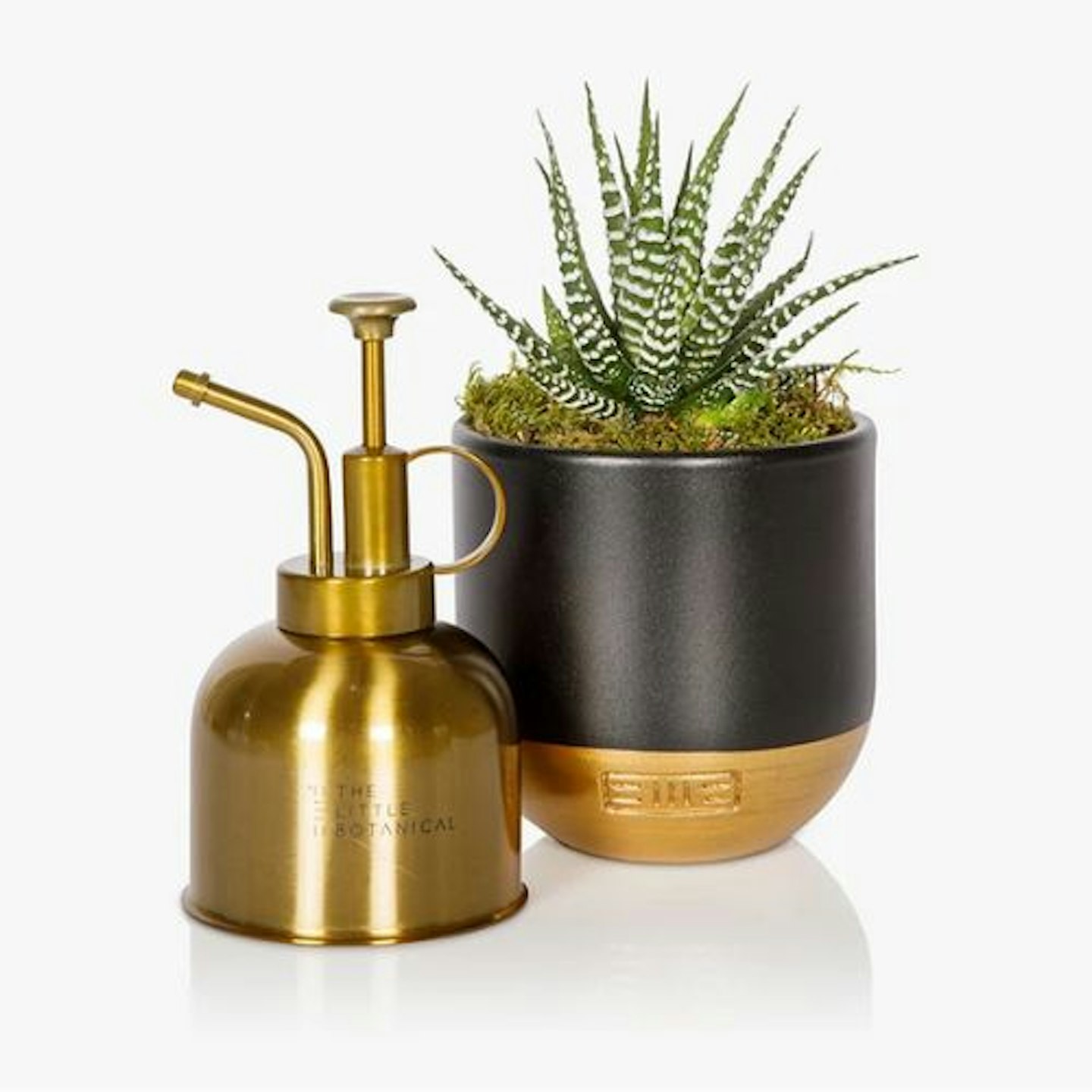 The Little Botanical Gold Mister & Plant Set