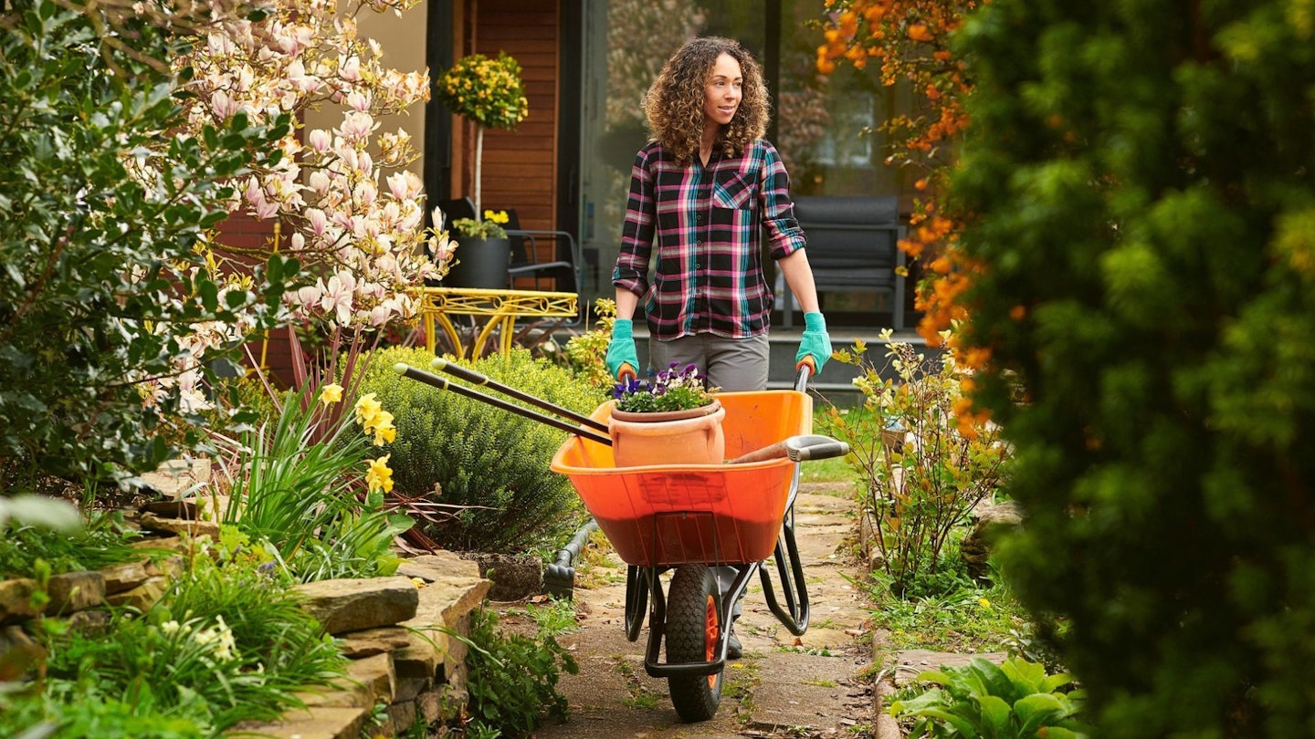A female gardener with a wheelbarrow walking through a springtime garden.