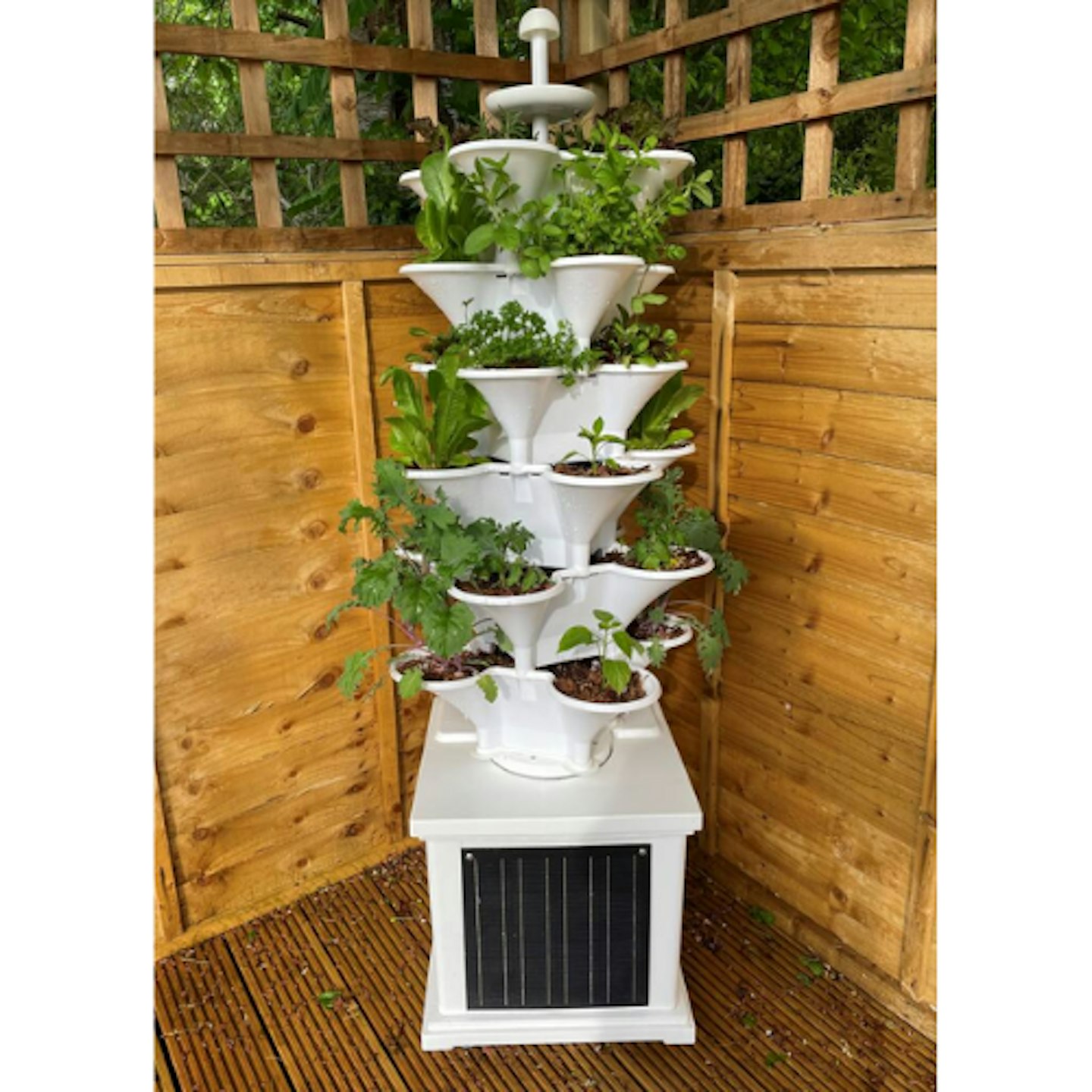 Acqua Garden Two: Solar-Powered Vertical Growing System