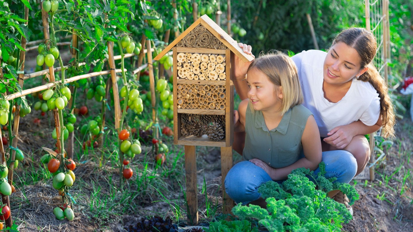 Mother and daughter looking at insect hotel in kitchen garden