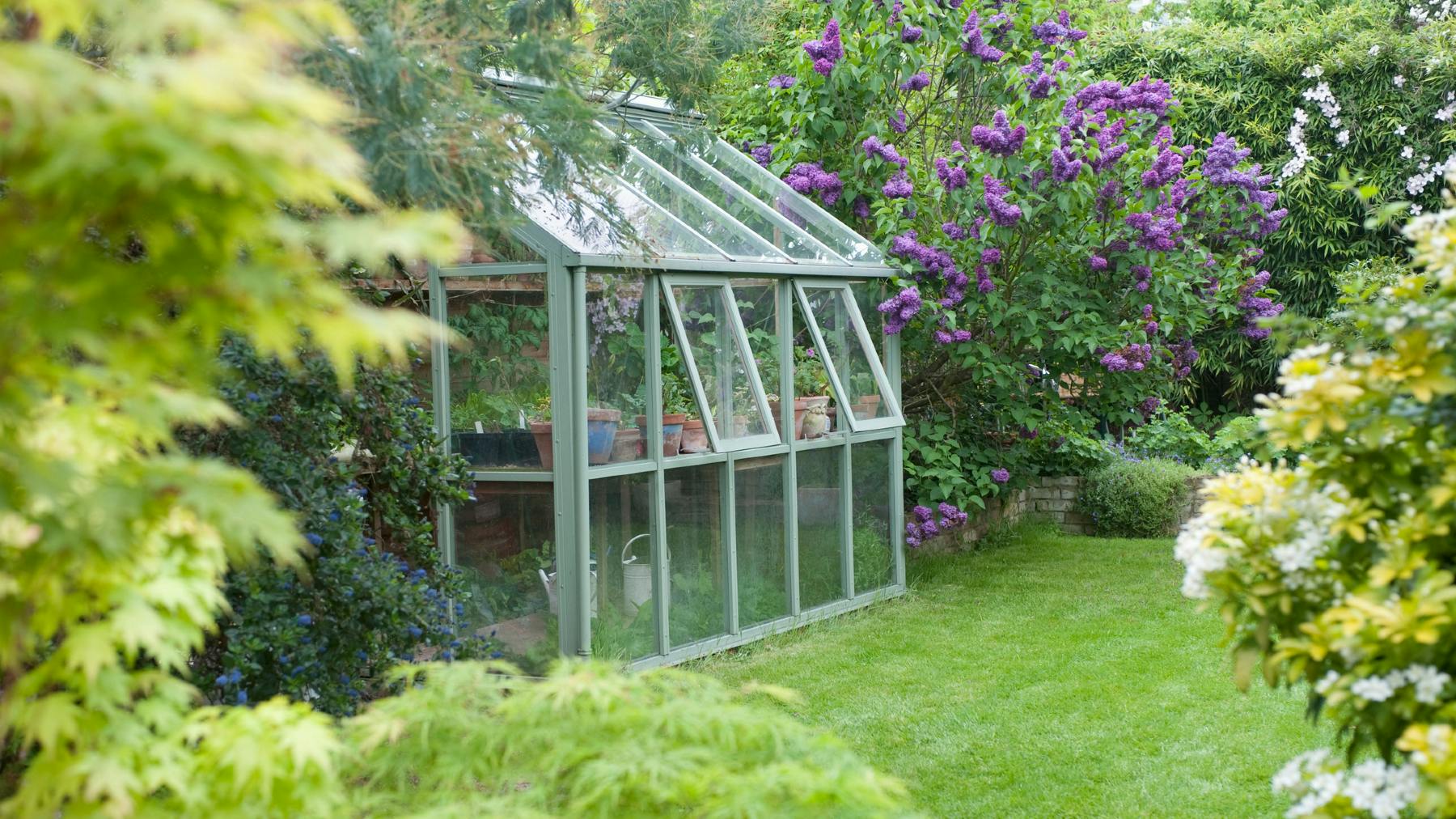 10 best greenhouses UK to help your plants thrive 2024
