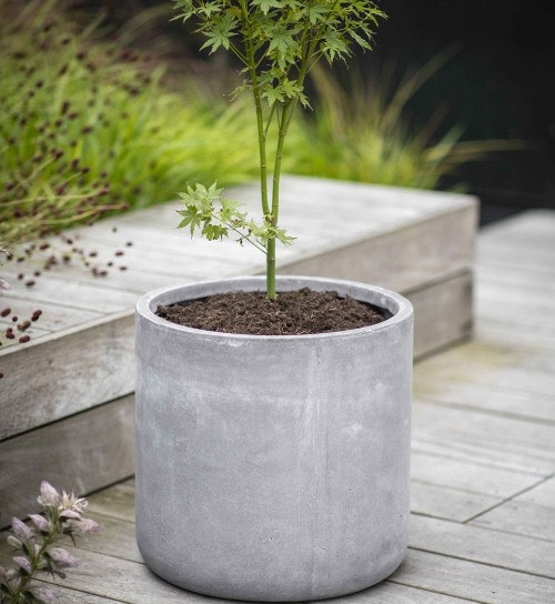 Best large outdoor plant pots to give your plants space to thrive