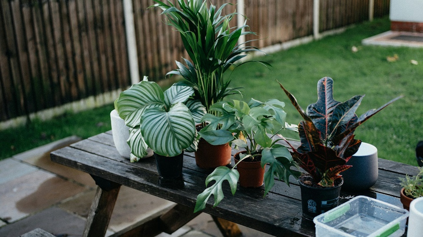 Garden plant pots