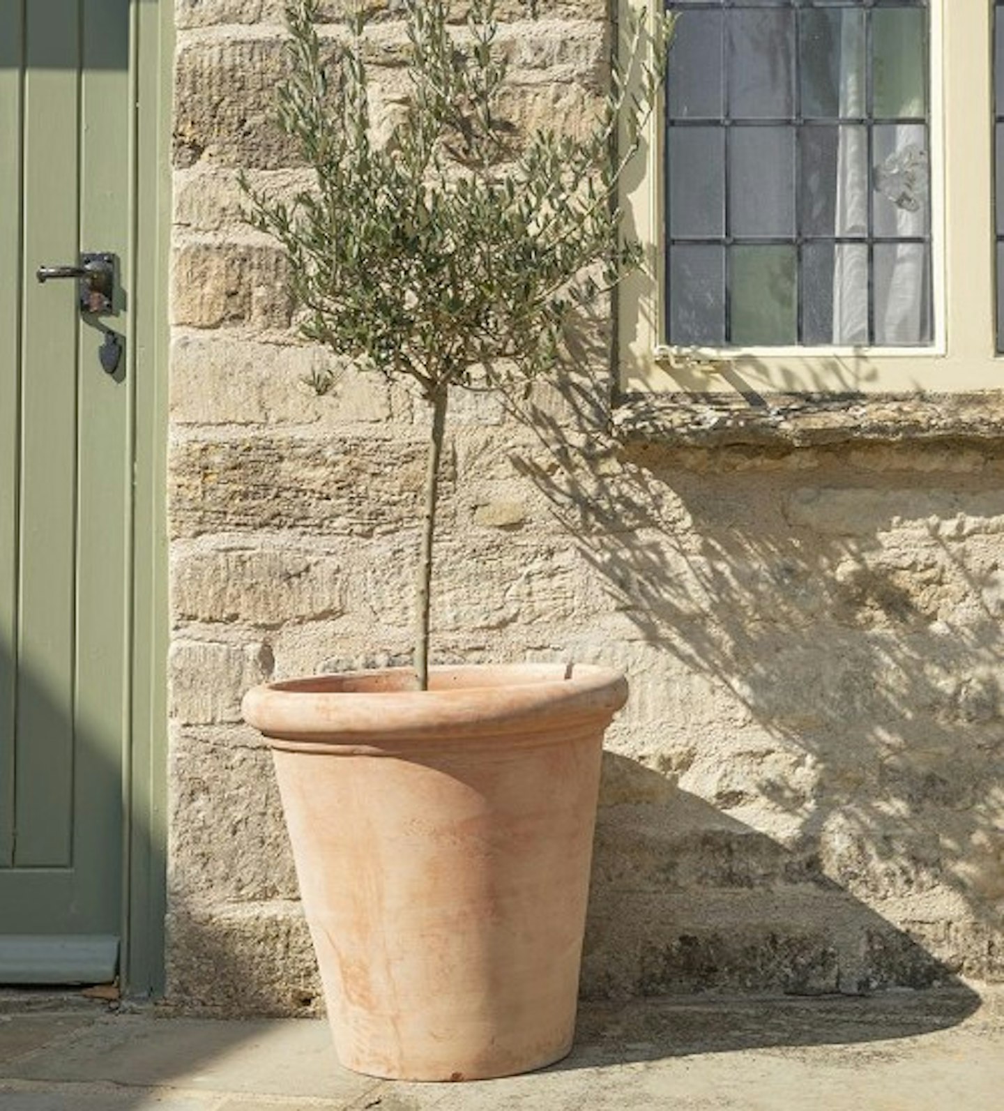 Clayton Large Terracotta Plant Pot