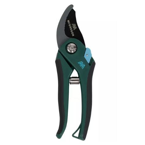 Best Secateurs To Tidy Up Your Garden