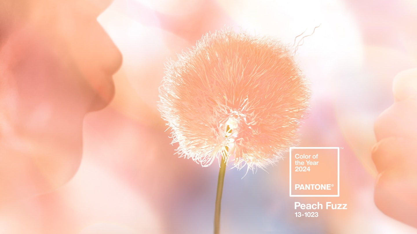 Pantone Peach Fuzz