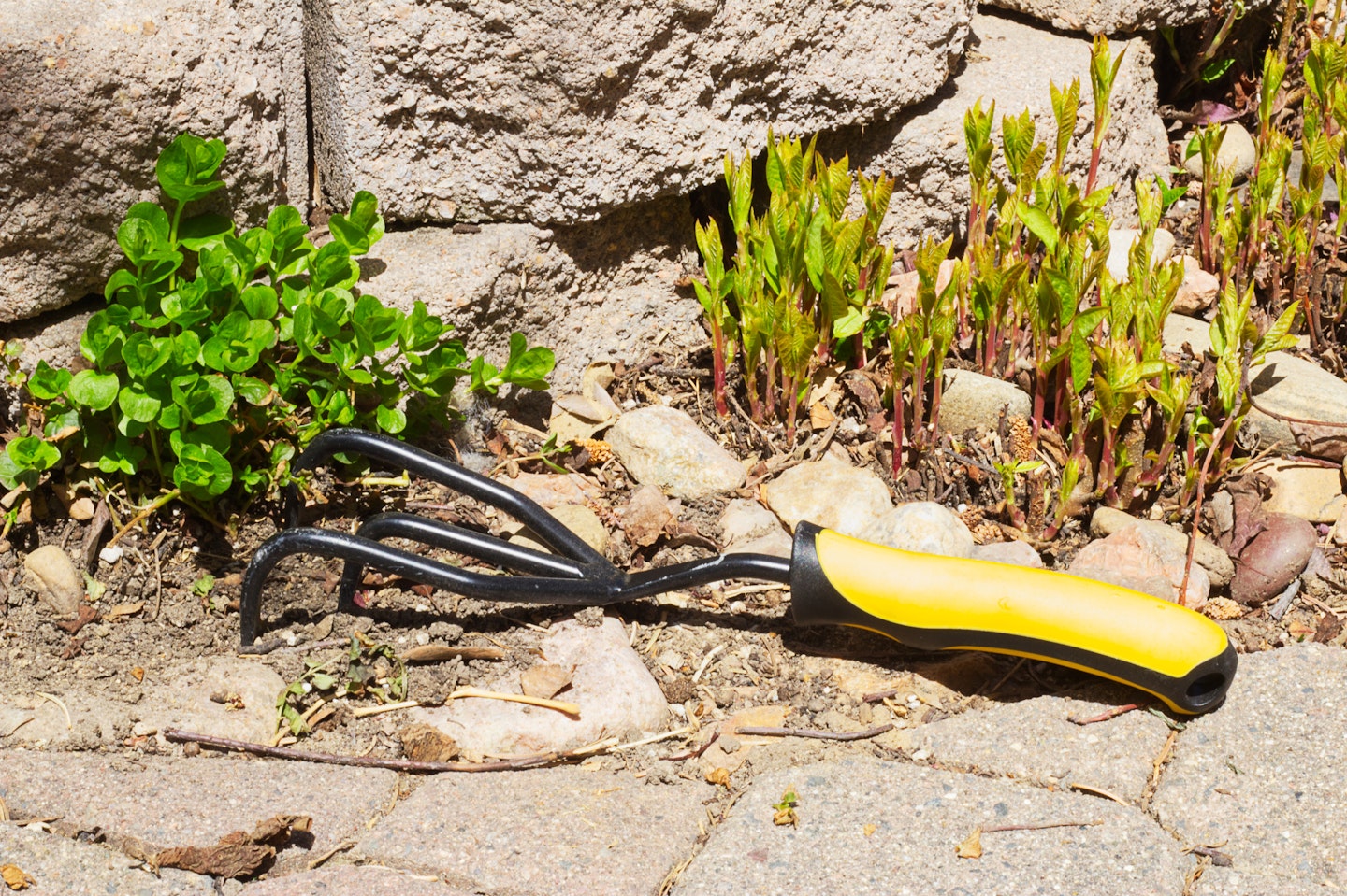 cultivator tool