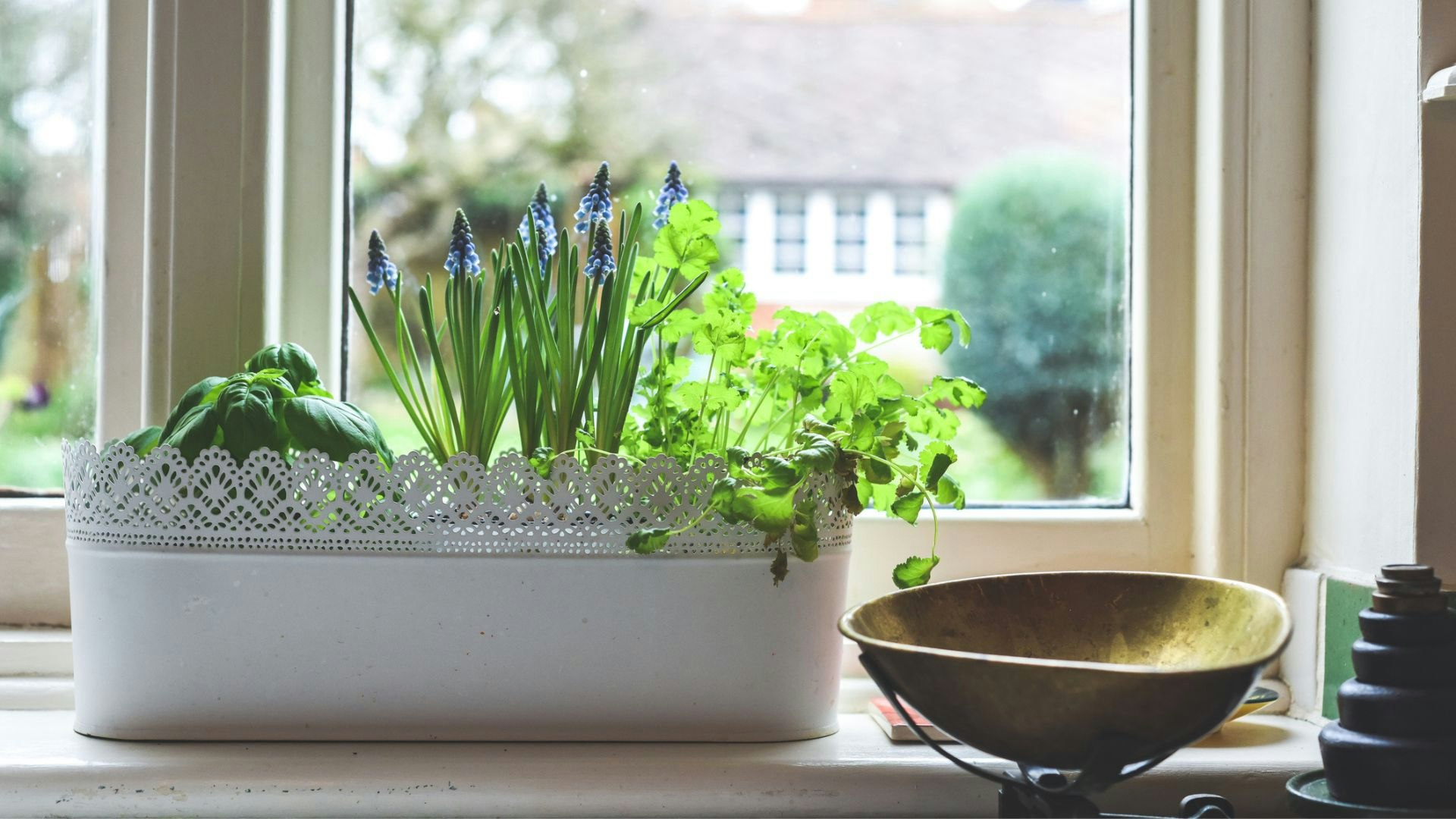 Indoor Window Box Gardens 13 Winter Window Box Ideas With Loads Of