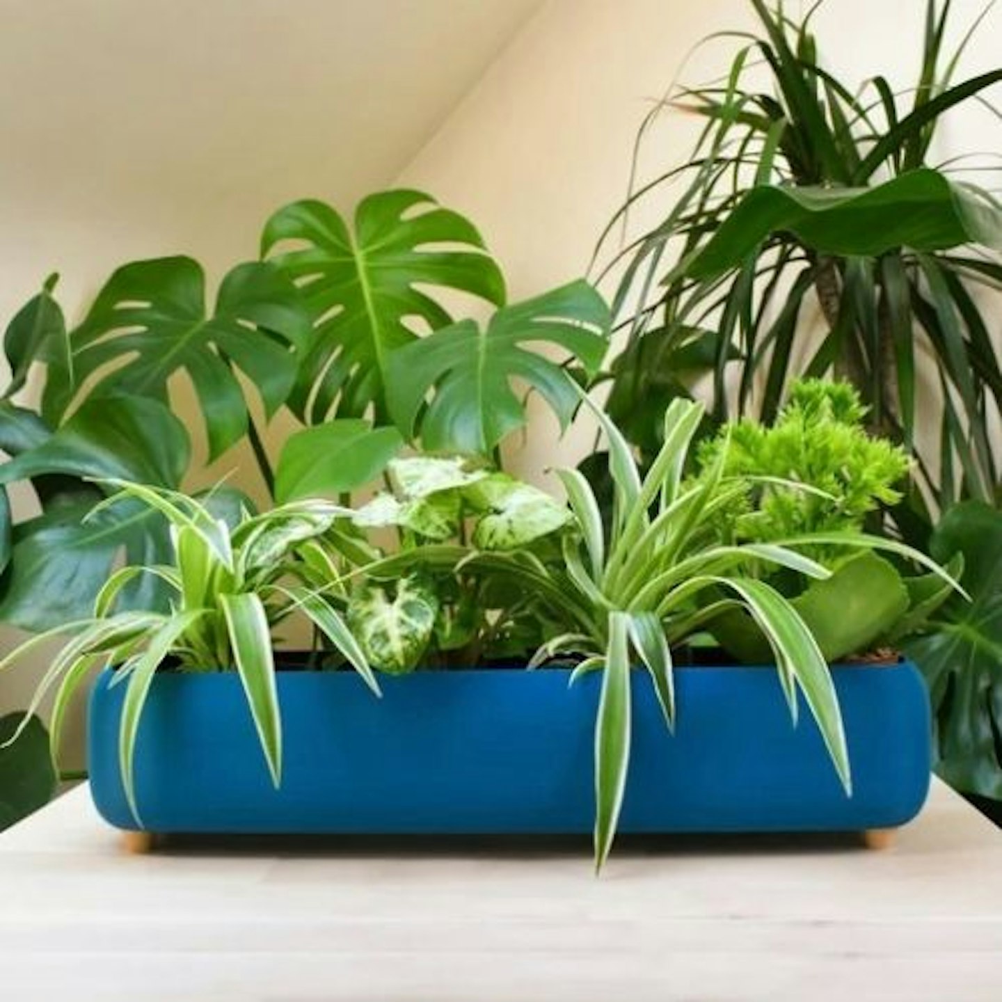 Rounded Rectangular Planter