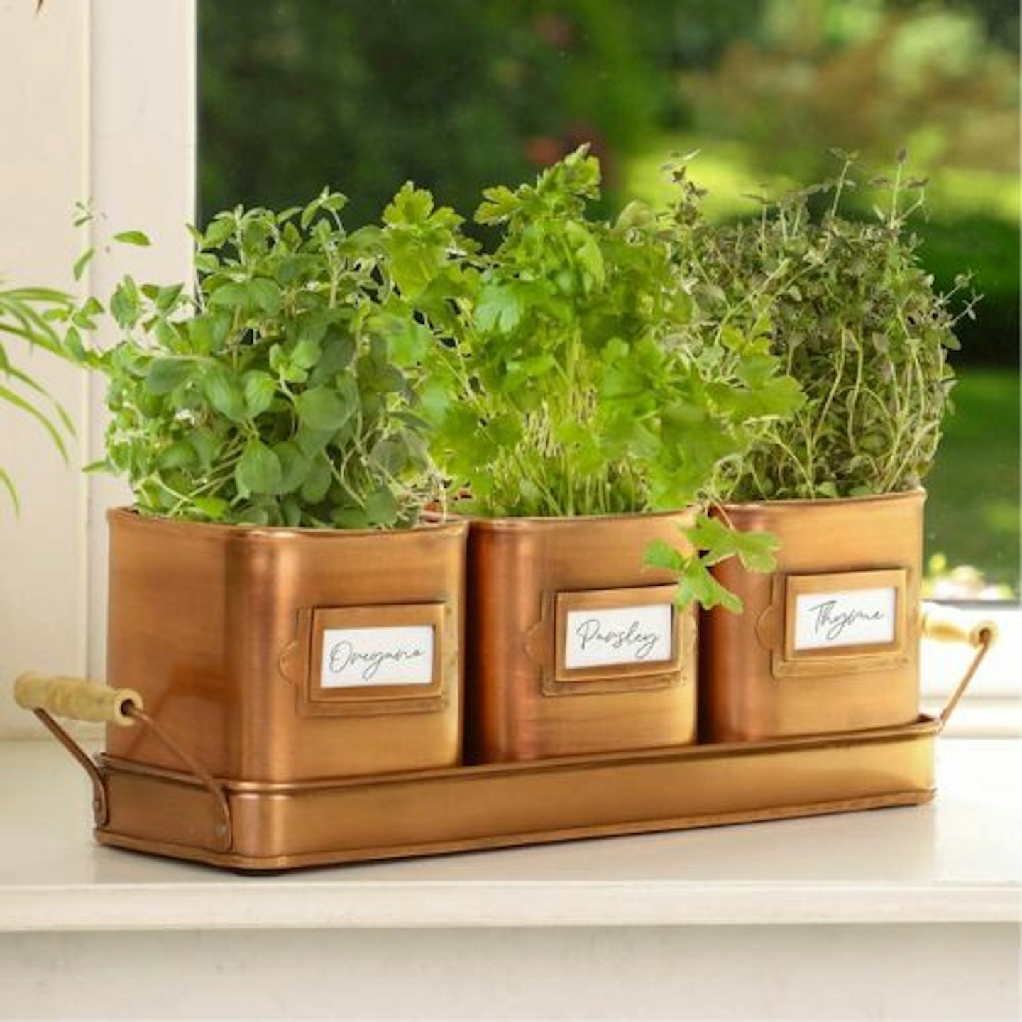 Square Herb Planters with Fitted Tray
