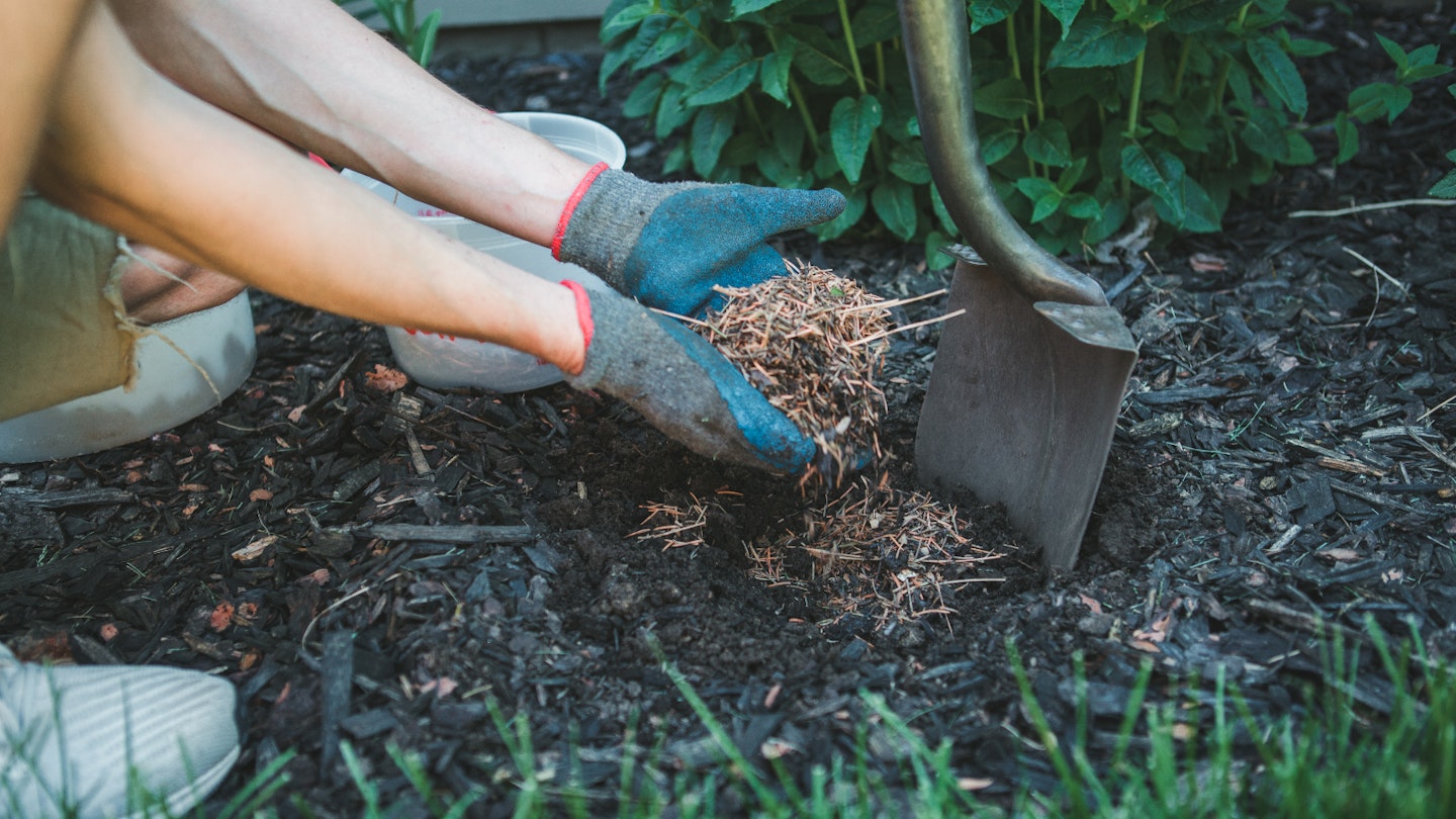 mulch-gardening