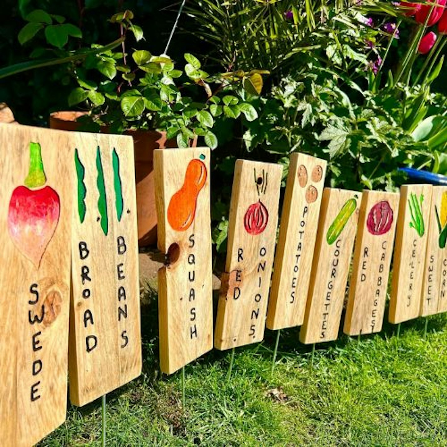 Allotment Seed Marker