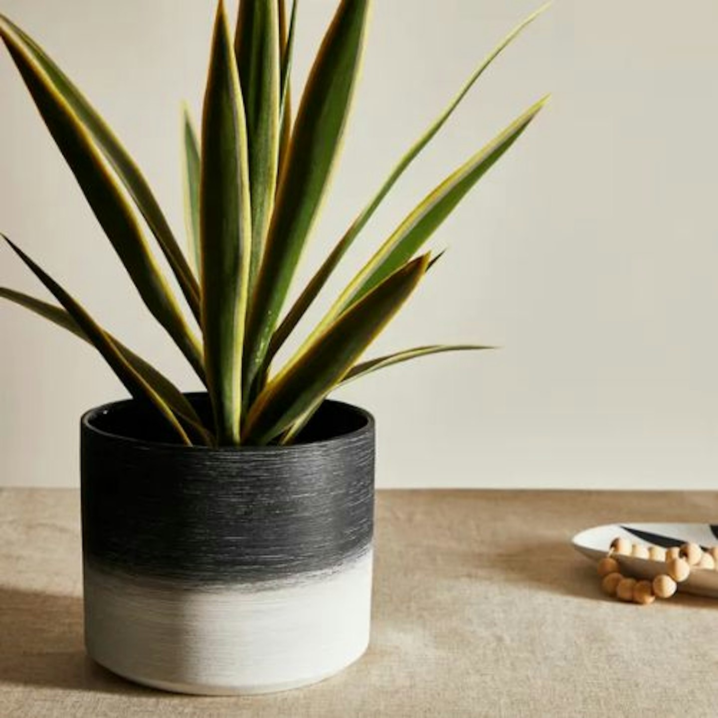 Ceramic Textured Mono Planter Large