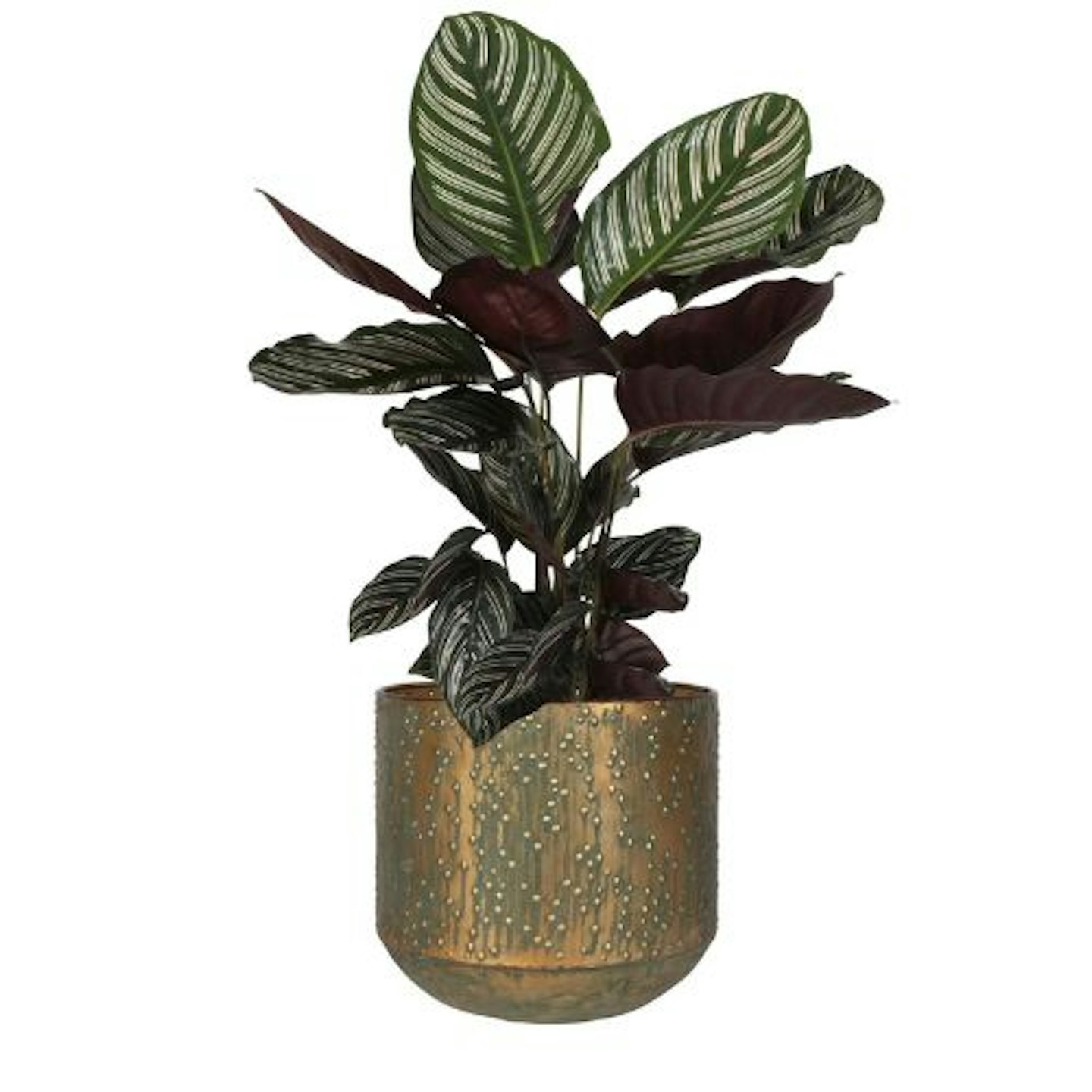Lian Copper Green House Plant Pot