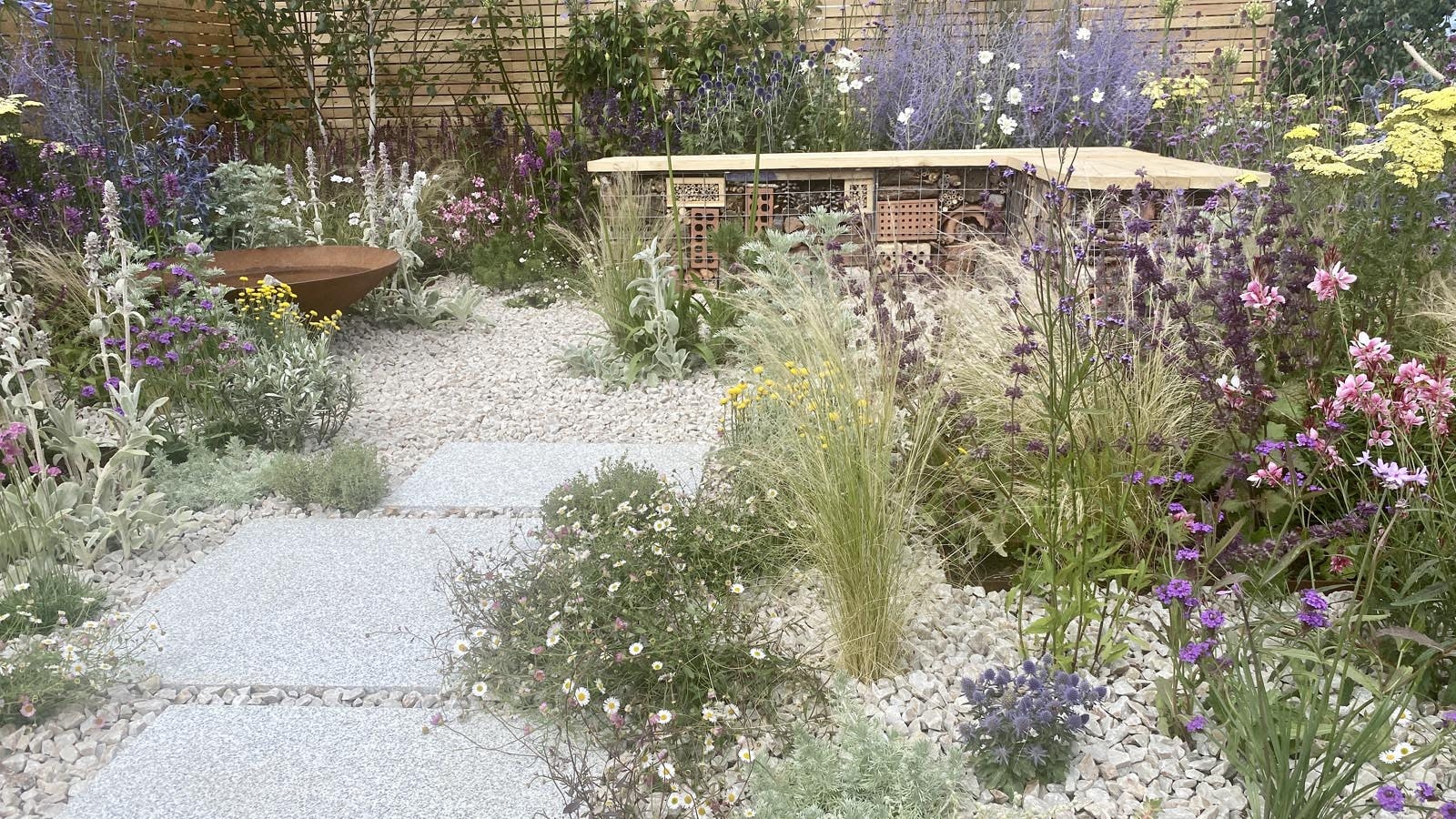 What To Grow In A Gravel Garden