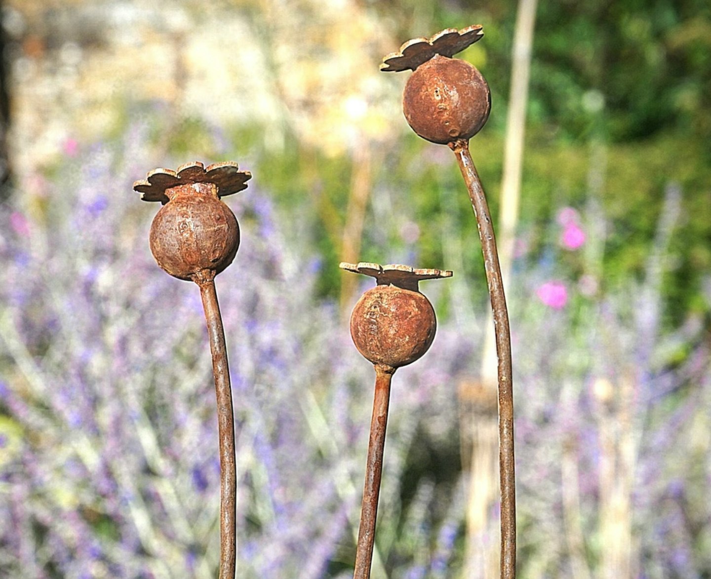 Rusty metal Poppy Seed Head sculpture