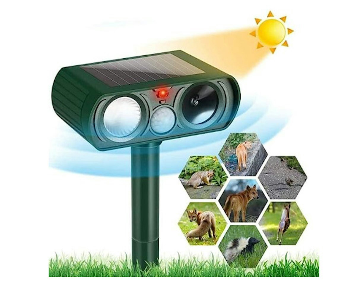 The Best Products to Stop Cats Pooping in Gardens Maintenance