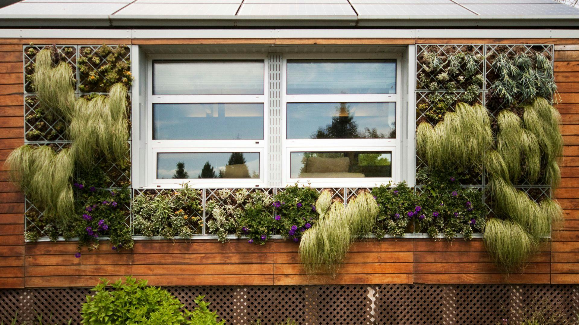 Vertical Gardening Ideas